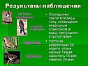 Ласточка деревенская