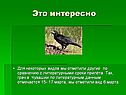 Сроки прилёта