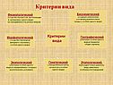 Критерии вида