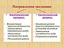 Направления эволюции