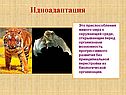 Идиоадаптация