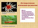 Дегенеративные изменения организмов