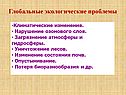 Глобальные экологические проблемы