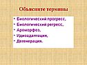 Объясните термины
