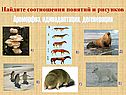 Соотношения понятий