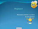 Нарвал