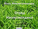 Отряд Насекомоядные