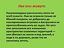 Как они живут: