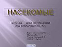 Насекомые