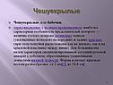 Чешуекрылые