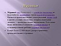 Муравьи
