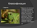 Насекомые-вредители сельскохозяйственных растений