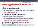 Многоуровневый зачет