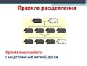 Наследственность и изменчивость организмов