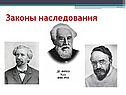 Законы наследования