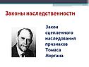 Законы наследственности