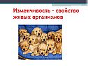 Изменчивость