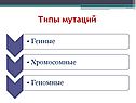 Типы мутаций