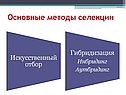 Основные методы селекции