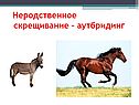 Неродственное скрещивание