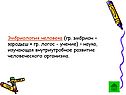 Эмбриология человека (гр
