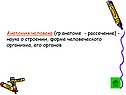 Анатомия человека (гр