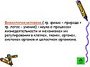 Физиология человека ( гр