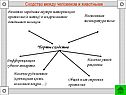 Сходство между человеком и животными
