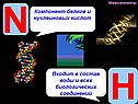 Неорганические соединения клетки