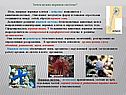 Зачем нужна нервная система