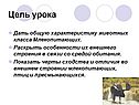 Дать общую характеристику животных класса Млекопитающих