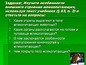 Изучите особенности внешнего строения млекопитающих