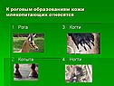 Рога