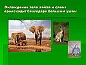 Охлаждение тела
