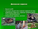 Домашнее задание