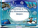 Класс Млекопитающие или Звери
