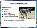Отделы тела