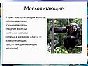 Железы