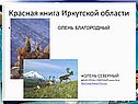 Олень благородный