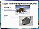 Росомаха