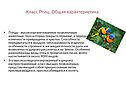 Общая характеристика