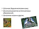 Бедная железами кожа
