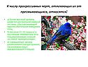 Высокий уровень развития центральной нервной системы