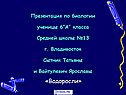 «Водоросли»