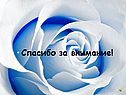 Спасибо за внимание