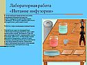 Питание инфузории