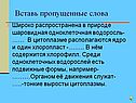 Пропущенные слова