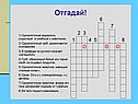 Одноклеточные организмы