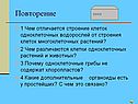 Строение клеток