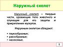 Наружный скелет